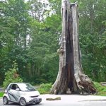 42-1_sweet_and_sour_shrimp_02