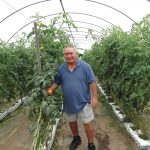 42-5_mozzarella_tomato_basil_bites_02