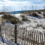 43-1_quick_garlic_ginger_shrimp_01