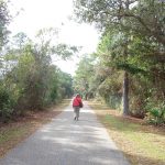 43-1_quick_garlic_ginger_shrimp_02