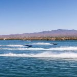 Desert-Storm-2017-Tom-Leigh-0401