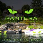 Pantera