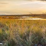 Environment and Climate Change Canada-Government of Canada desig